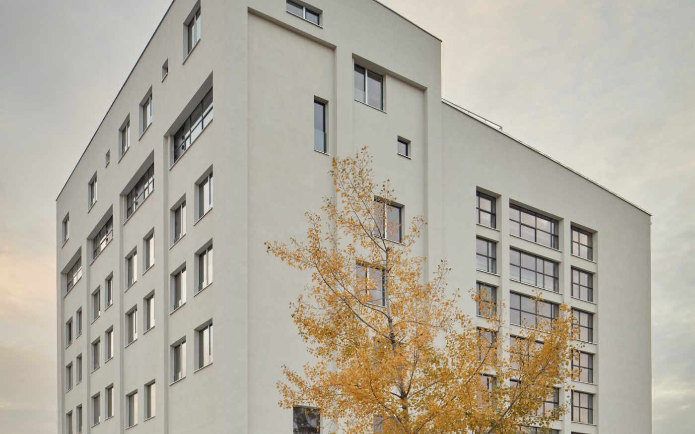 Reference photo of Mlynica in Bratislava