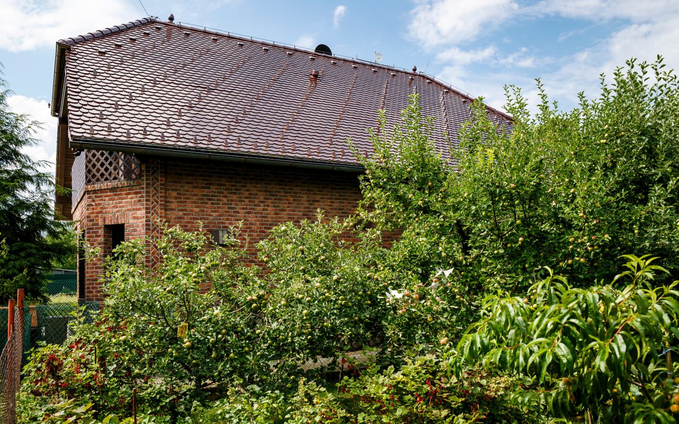 Fotografia referencie jednodomu v obci Rosina 06