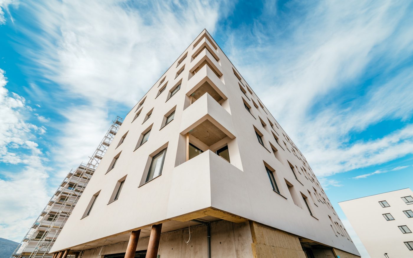 Reference photo of Bory living in Bratislava