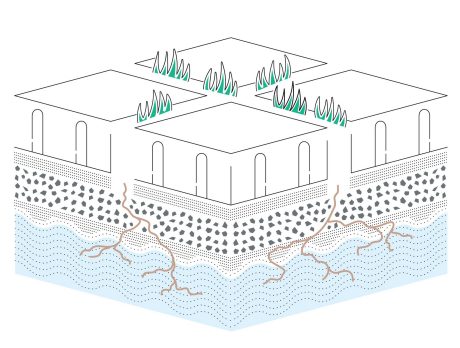biologically active area illustration