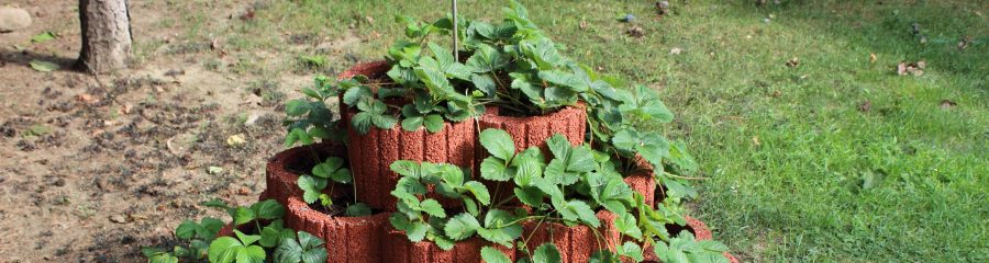 Semmelrock  - vystavba jahodovej pyramidy so svahovou tvarnicou