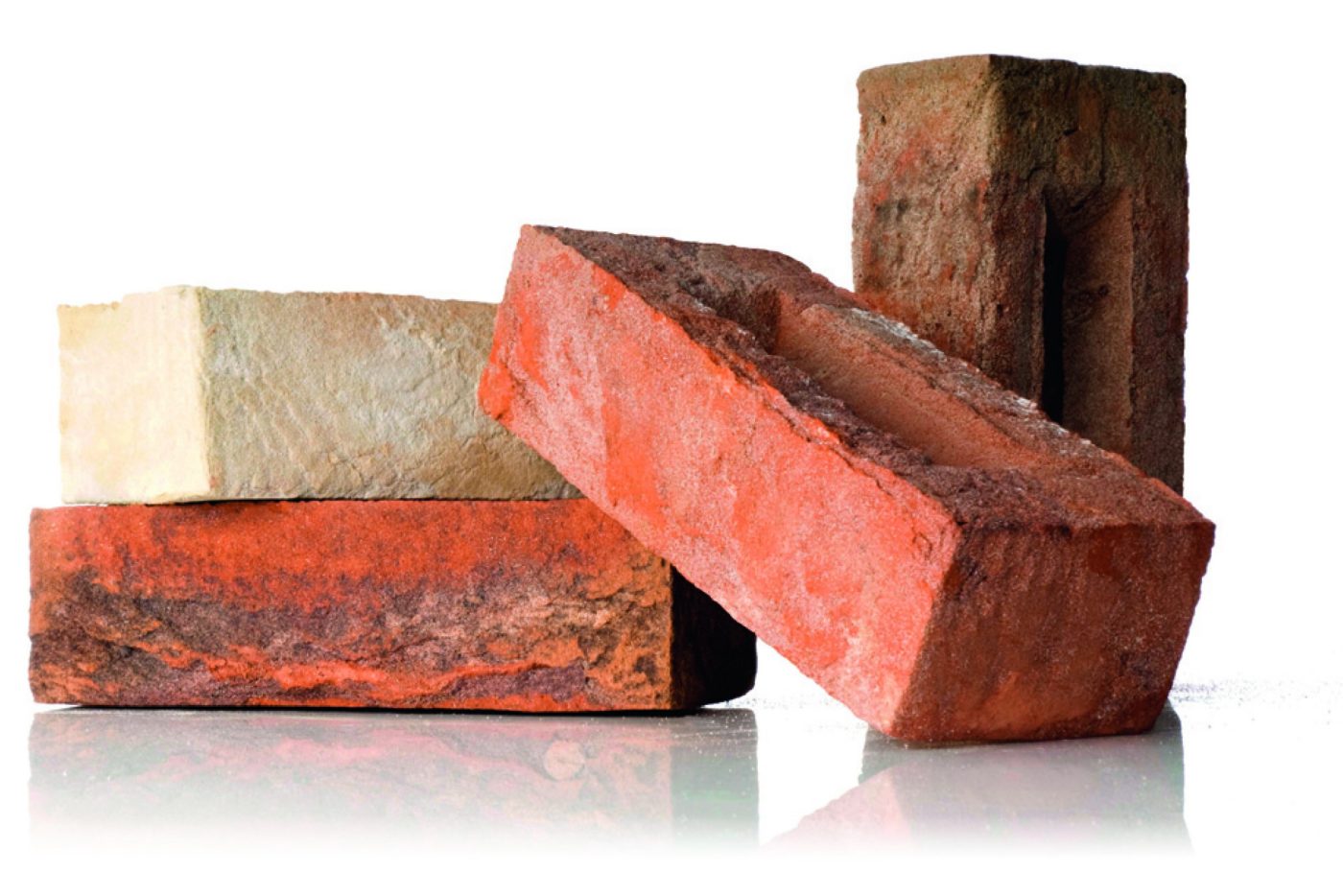 Set of facing bricks Terca with white background