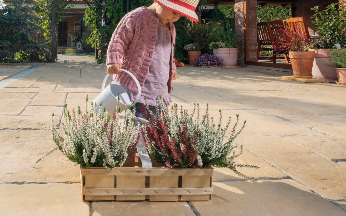 Bradstone Old Town platne, pieskovcová