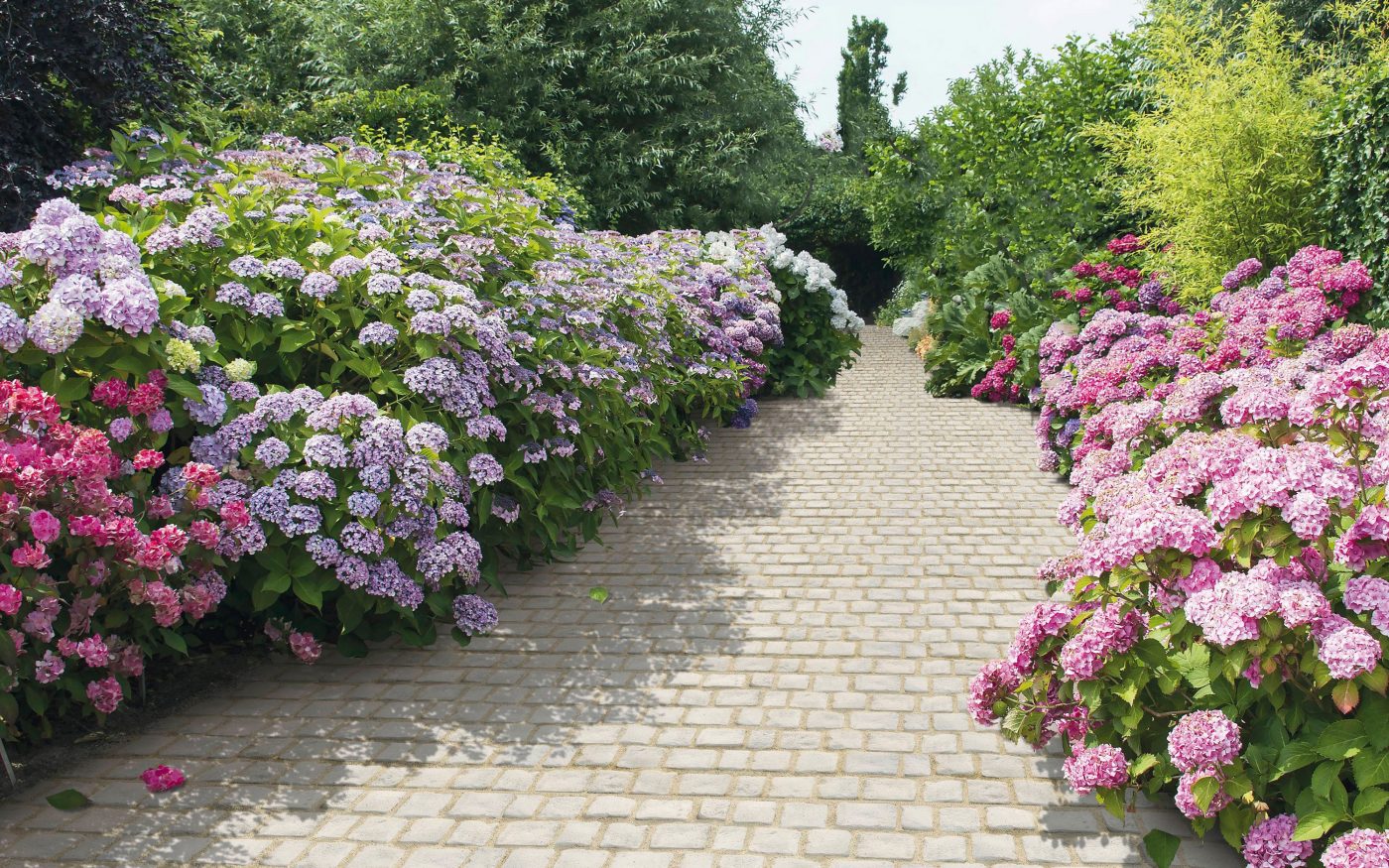 Kompozičná fotografia produktu Bradstone Cobble slonovinová melírovaná