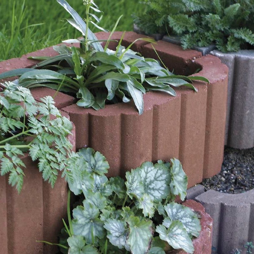 Referenčná fotografia produktu Miniflor červená